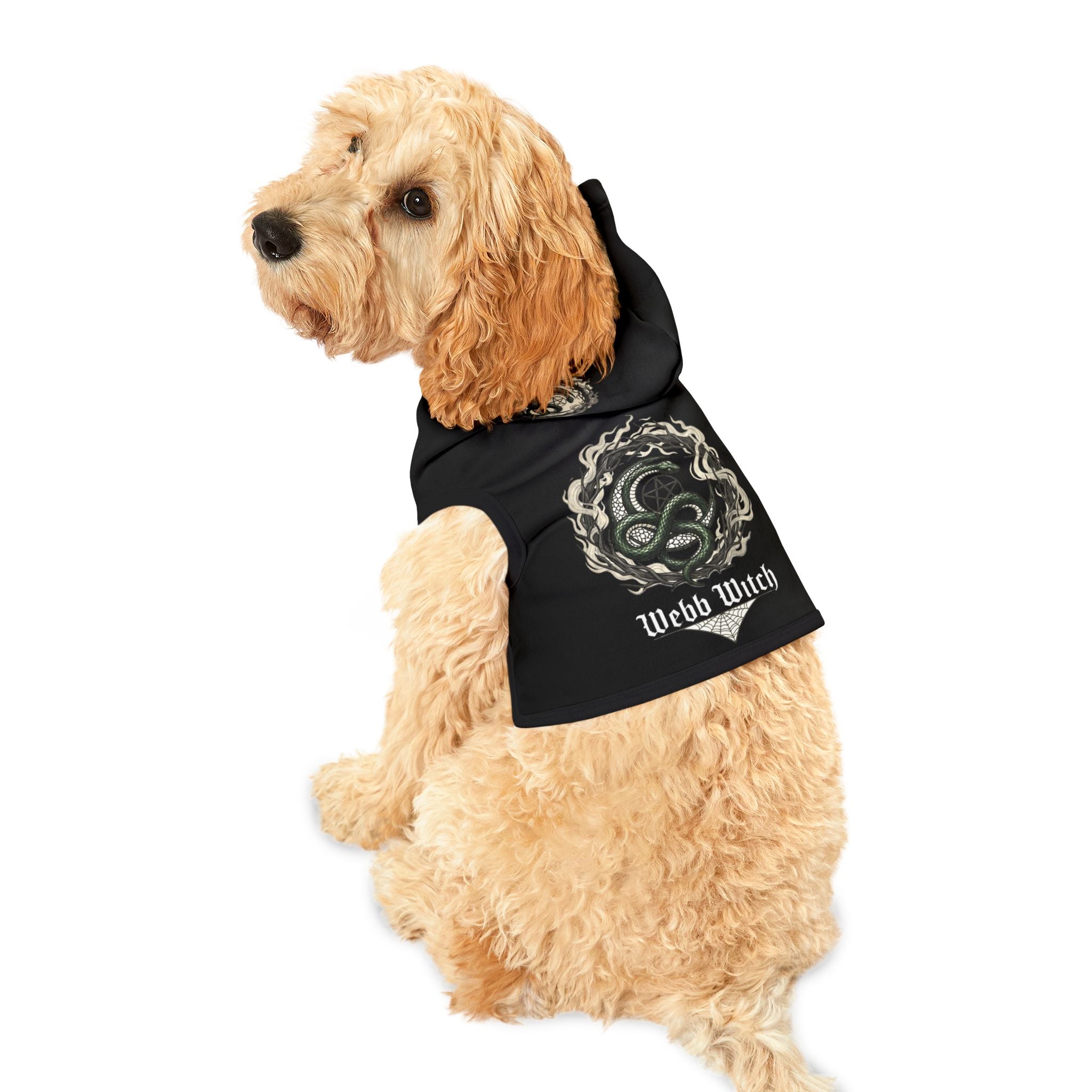 Pet Hoodie — Gothic Snake “Webb Witch” Dog & Cat Hoodie